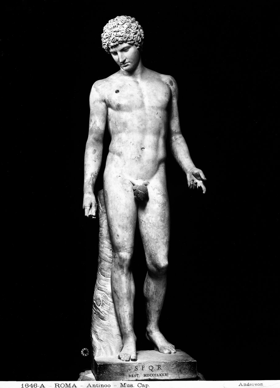 Antinous (marmori) tekijältä Roman Roman
