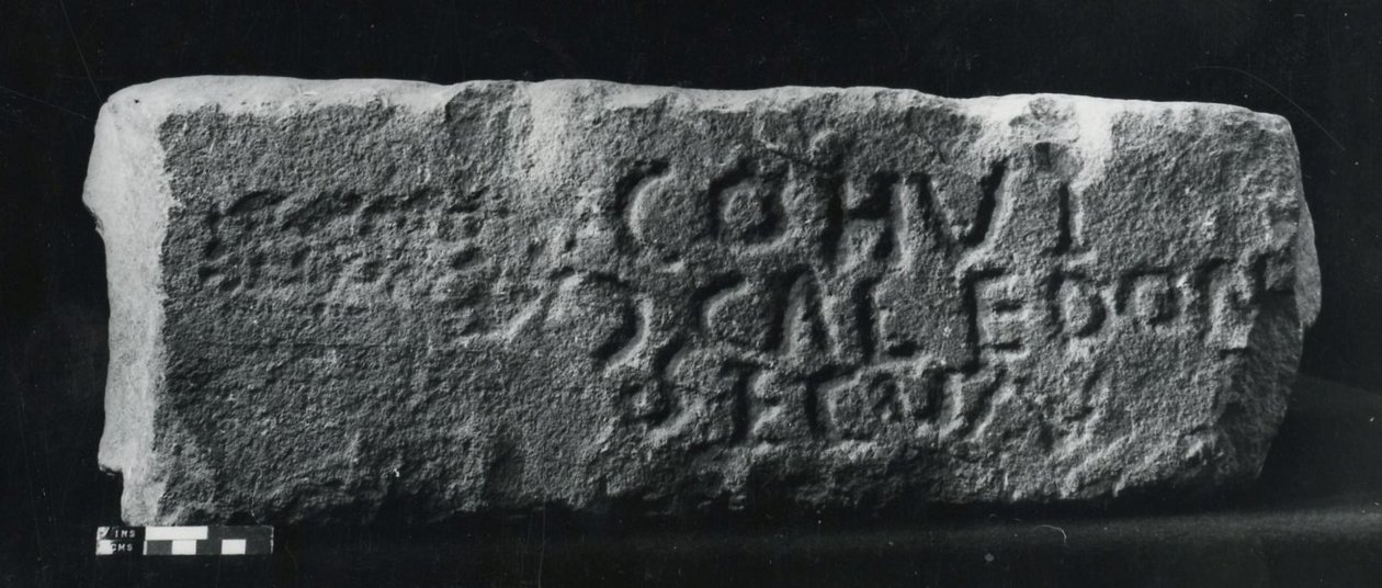 Vuosisadan kivi (kivi) tekijältä Roman Roman