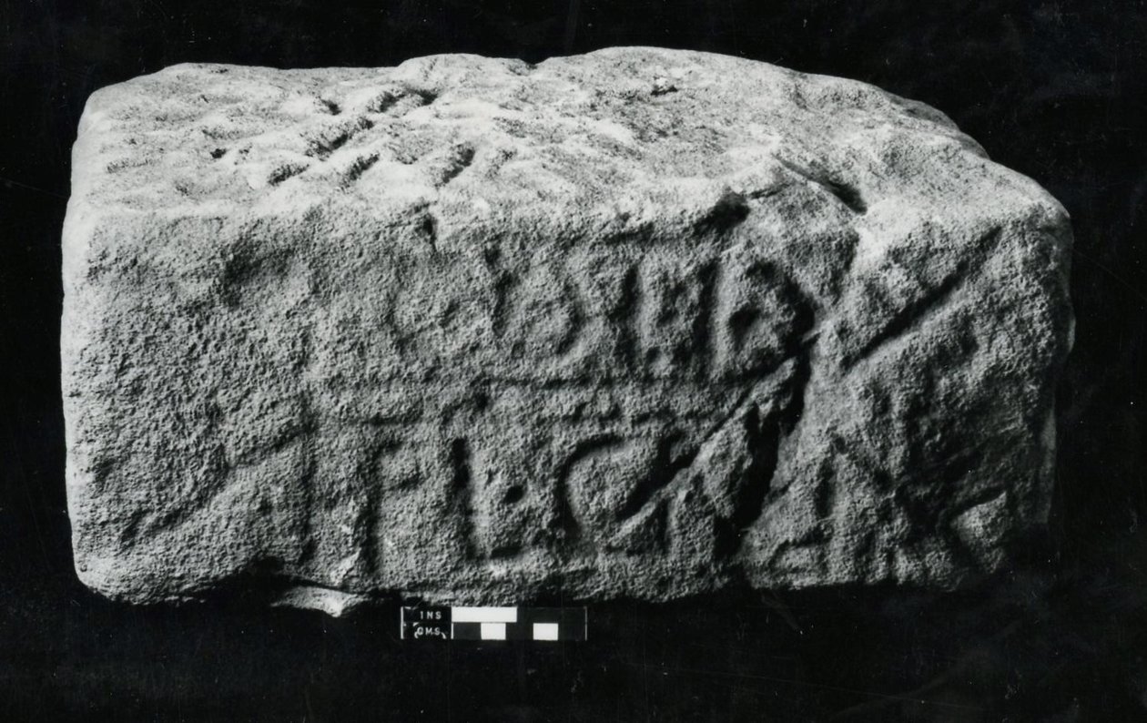 Vuosisadan kivi (kivi) tekijältä Roman Roman