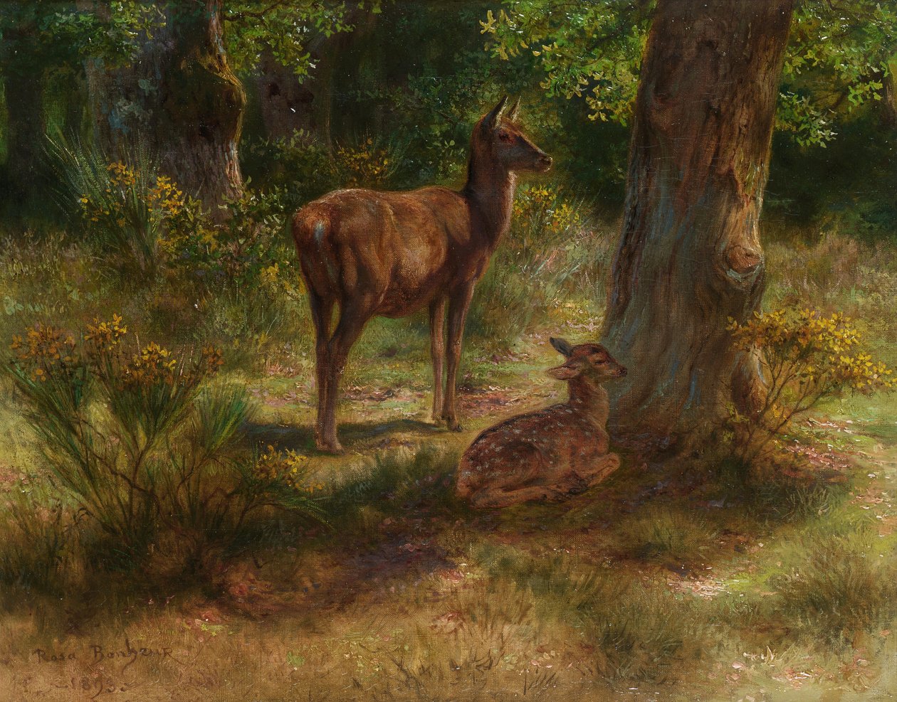 Hirvi ja fawn metsässä tekijältä Rosa Bonheur