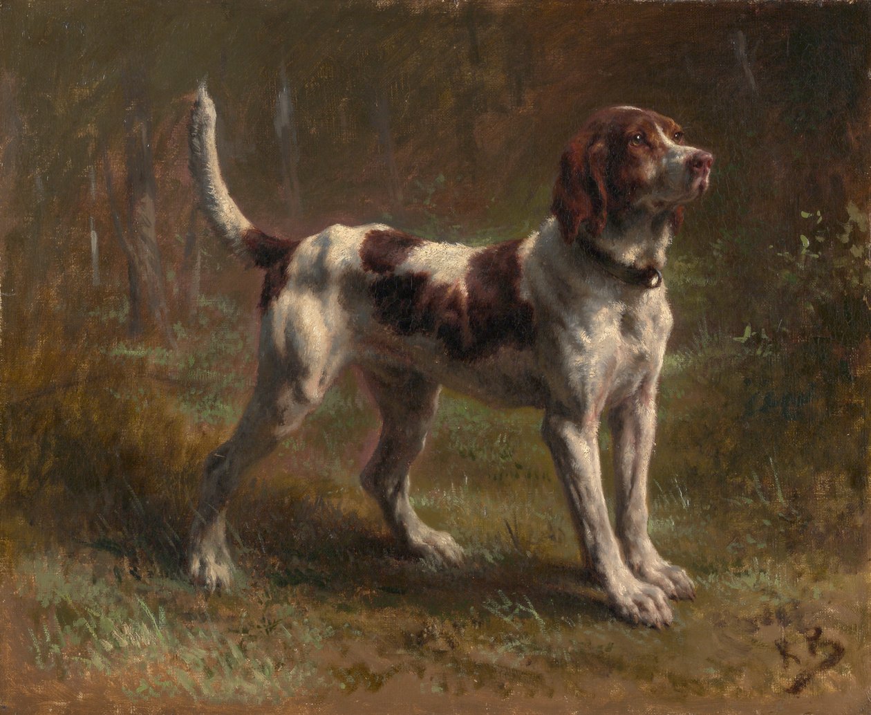 Bloodhound Briquet Hound, n. 1856. tekijältä Rosa Bonheur