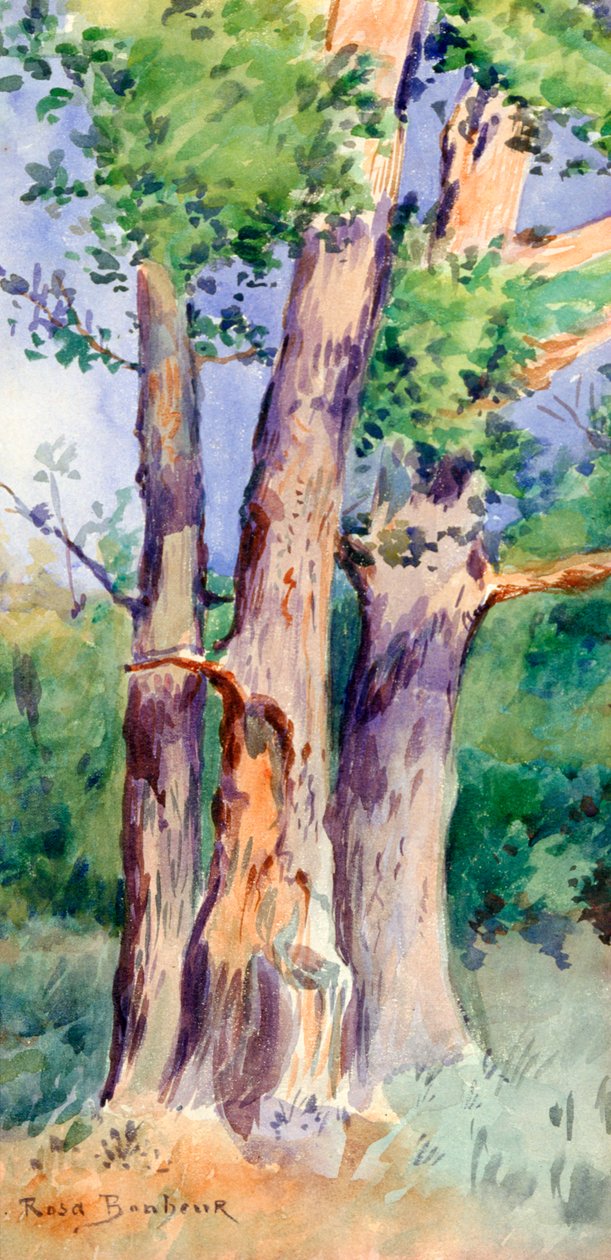 Study of Trees, c1842-1899 tekijältä Rosa Bonheur