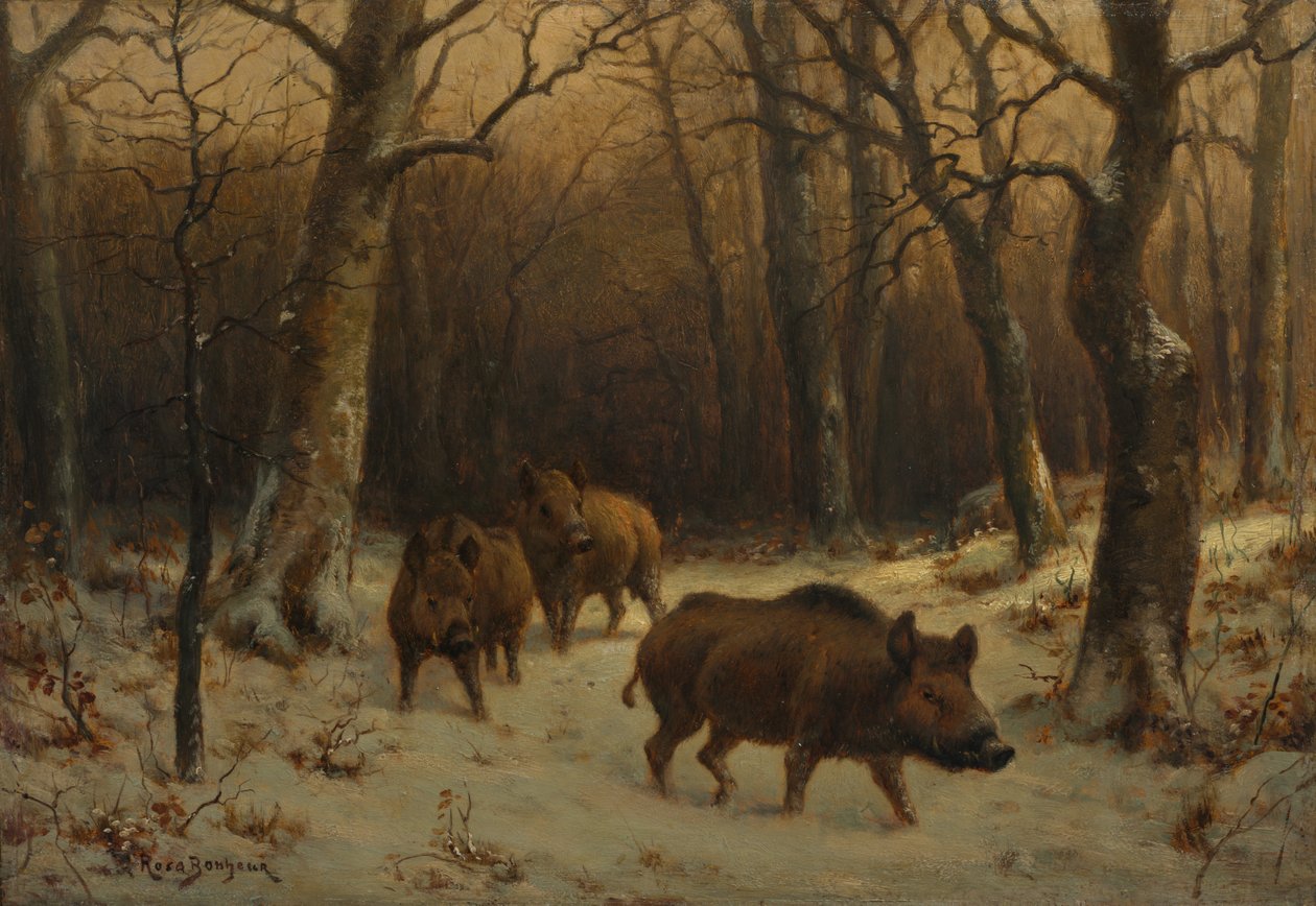 Villisikoja lumessa, n. 1872-1877. tekijältä Rosa Bonheur
