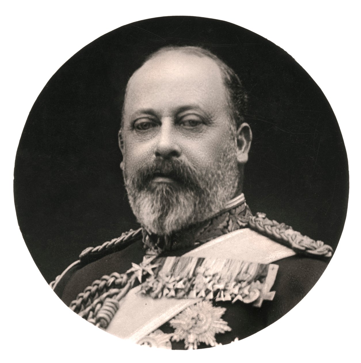 Kuningas Edward VII, 1900-luku. tekijältä Rotary Photo