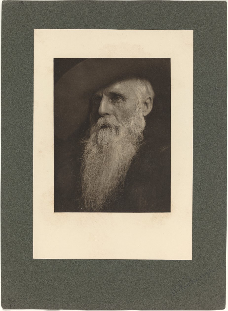 Ranchman, 1901. tekijältä Rudolf Eickemeyer Jnr