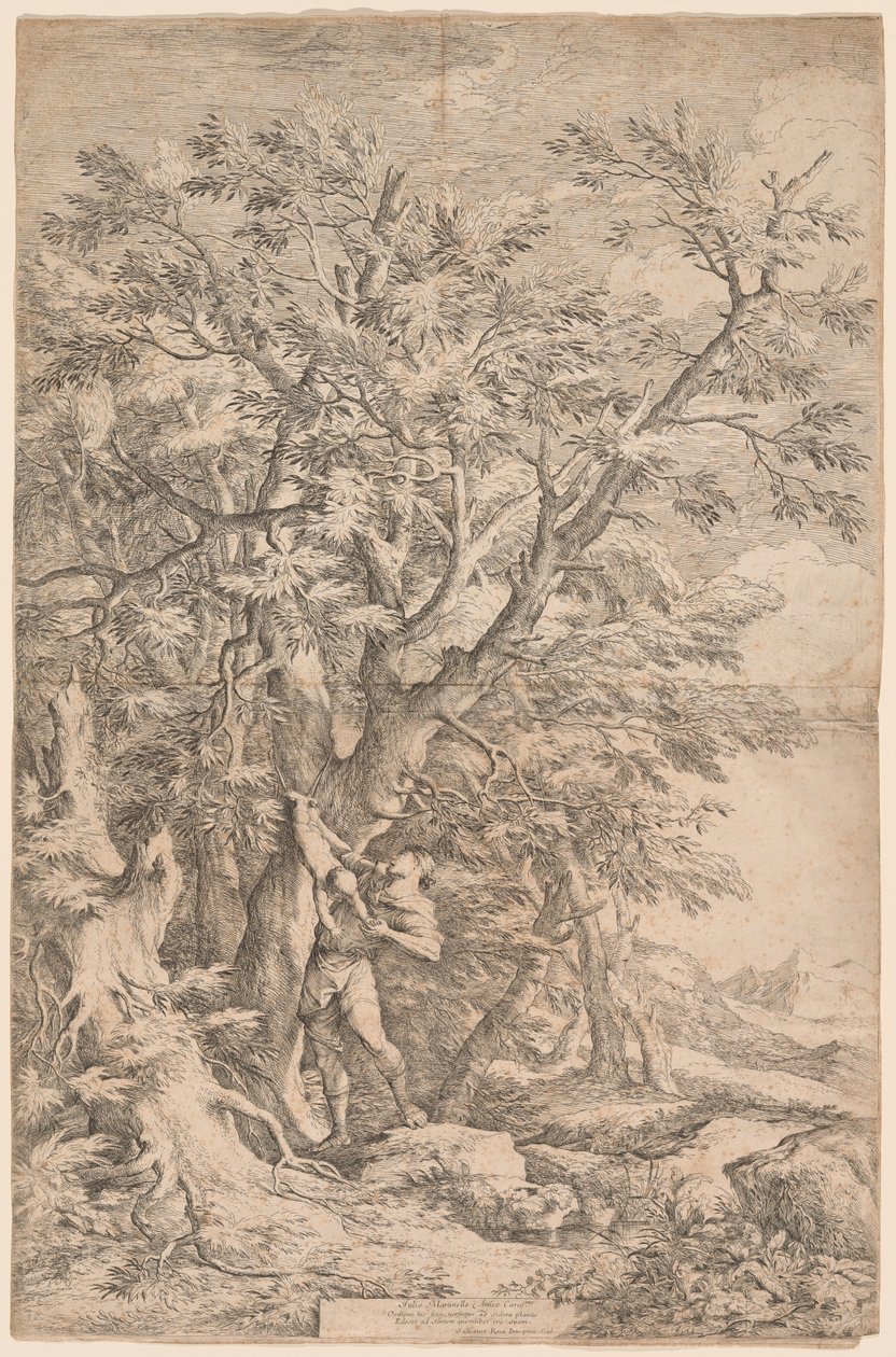 Lapsen Oidipuksen pelastus tekijältä Salvator Rosa