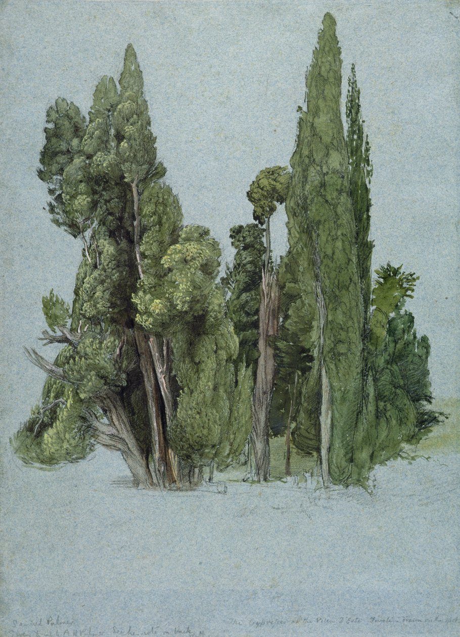 Sypressit Villa d