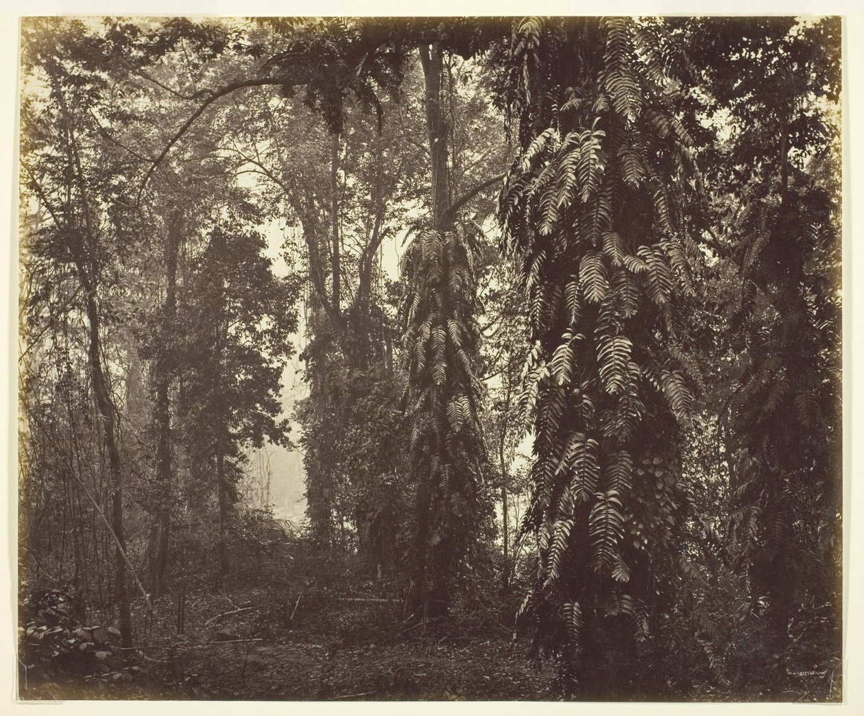 Darjeeling, Intia, n. 1865. tekijältä Samuel Bourne