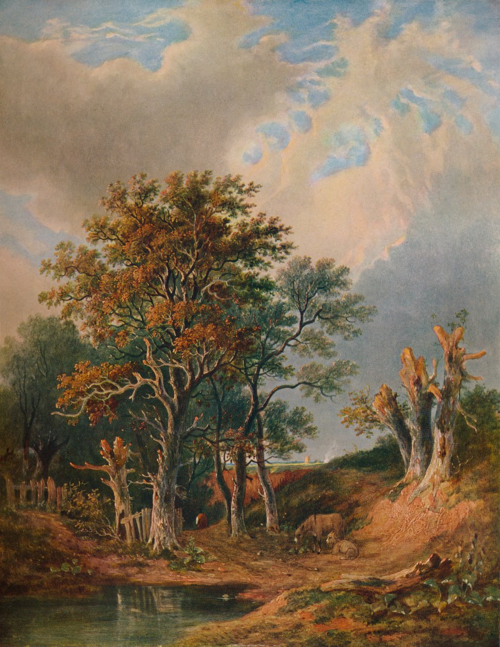 Maisema, 1847 tekijältä Samuel David Colkett