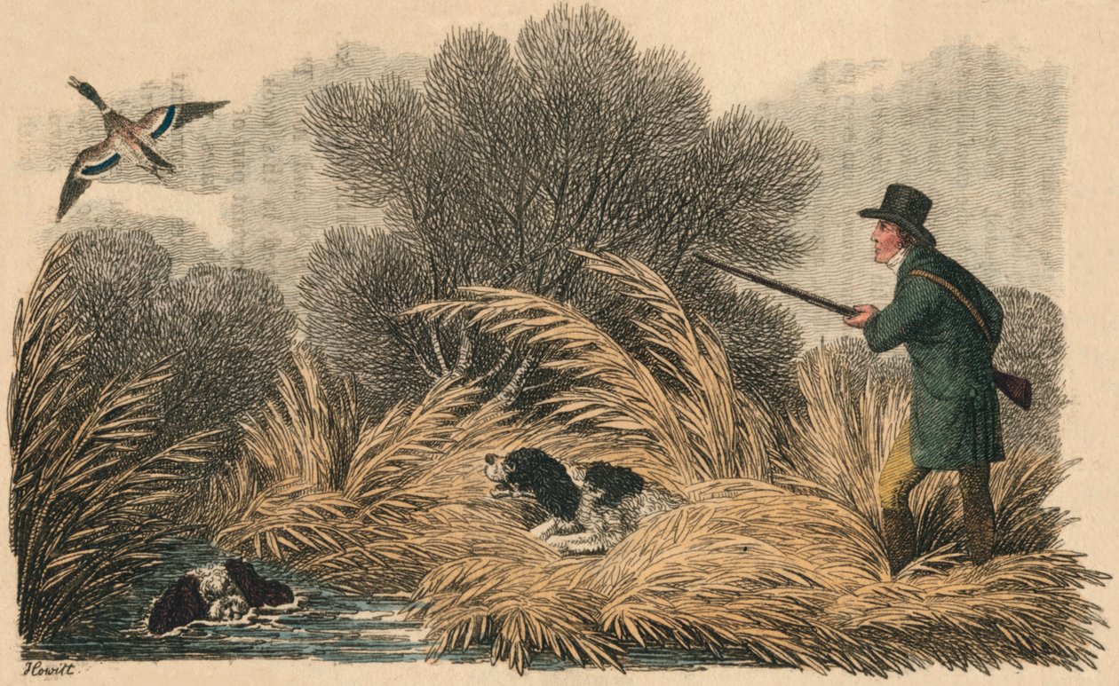 Ankan ammunta, 1810. tekijältä Samuel Howitt