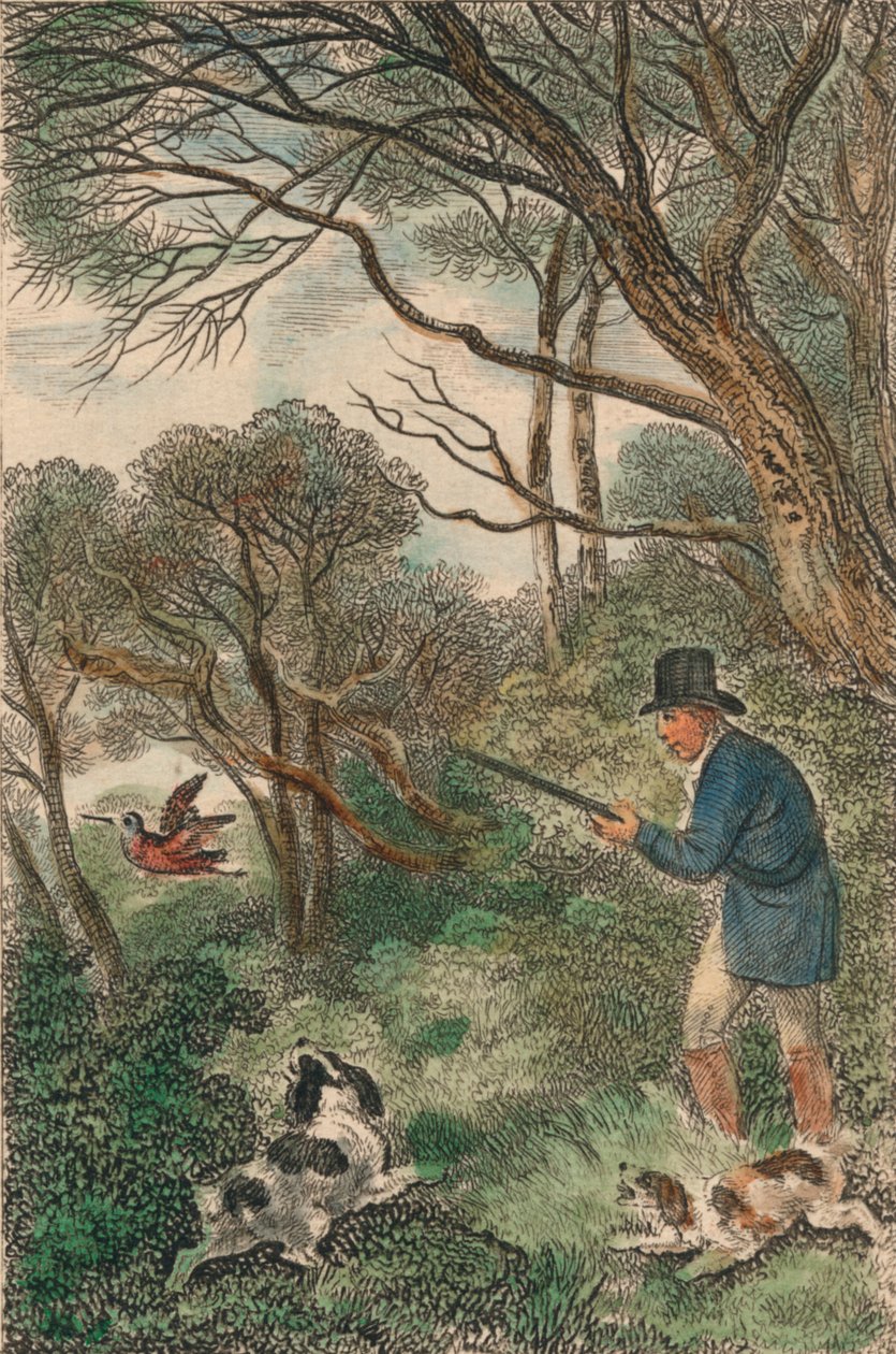 Woodcock-ammunta, 1819. tekijältä Samuel Howitt