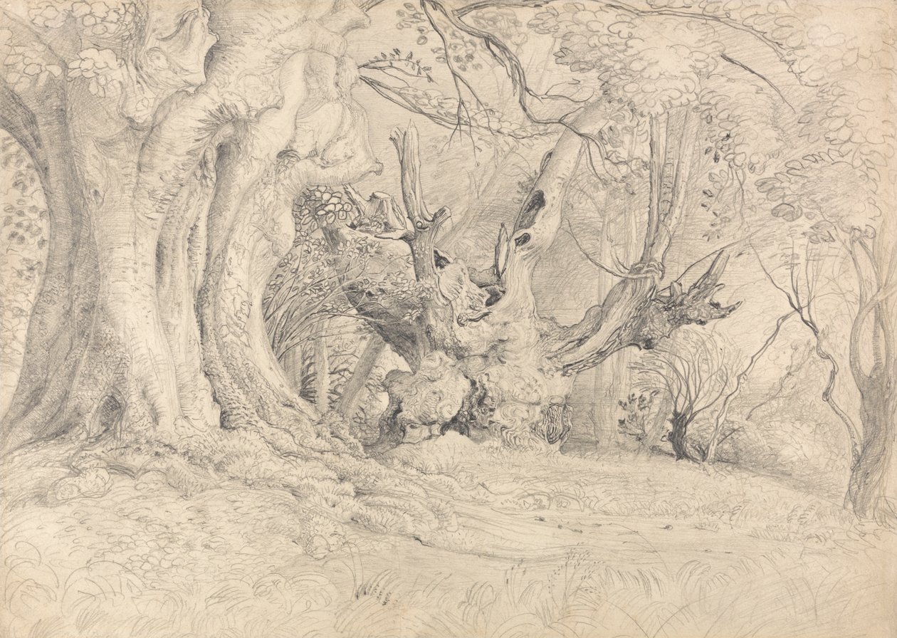 Ancient Trees, Lullingstone Park tekijältä Samuel Palmer