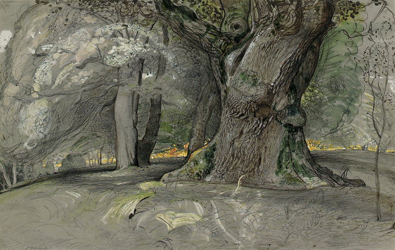 Tammi ja pyökki, Lullingstone Park tekijältä Samuel Palmer