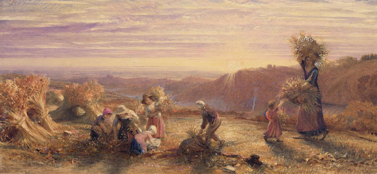 Auringonlasku keräilykenttien yllä tekijältä Samuel Palmer
