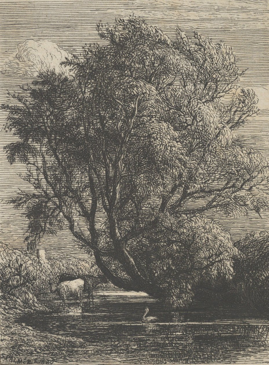 Willow, 1850. tekijältä Samuel Palmer