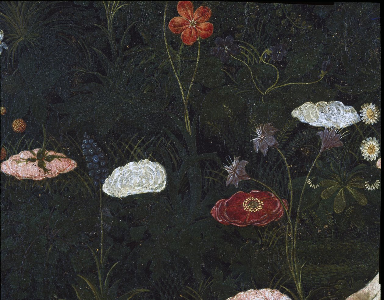 Primavera, n. 1478, tempera paneelin yksityiskohdassa 558 tekijältä Sandro Botticelli
