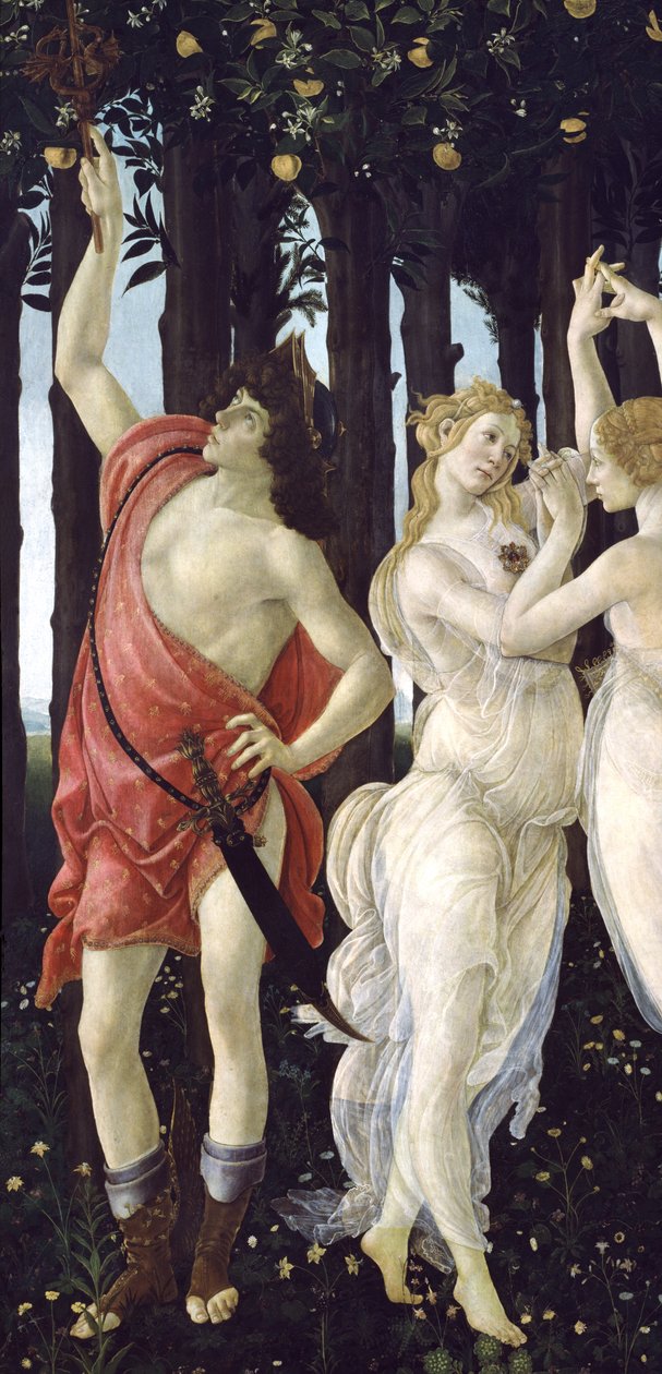Primavera, n. 1478, tempera paneelin yksityiskohdassa 558 tekijältä Sandro Botticelli