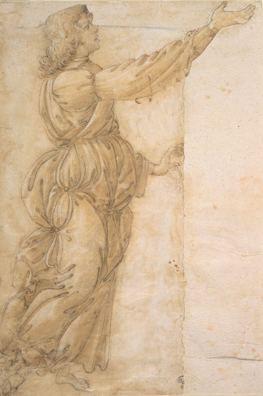 Enkelin tutkimus (piirustus) tekijältä Sandro Botticelli