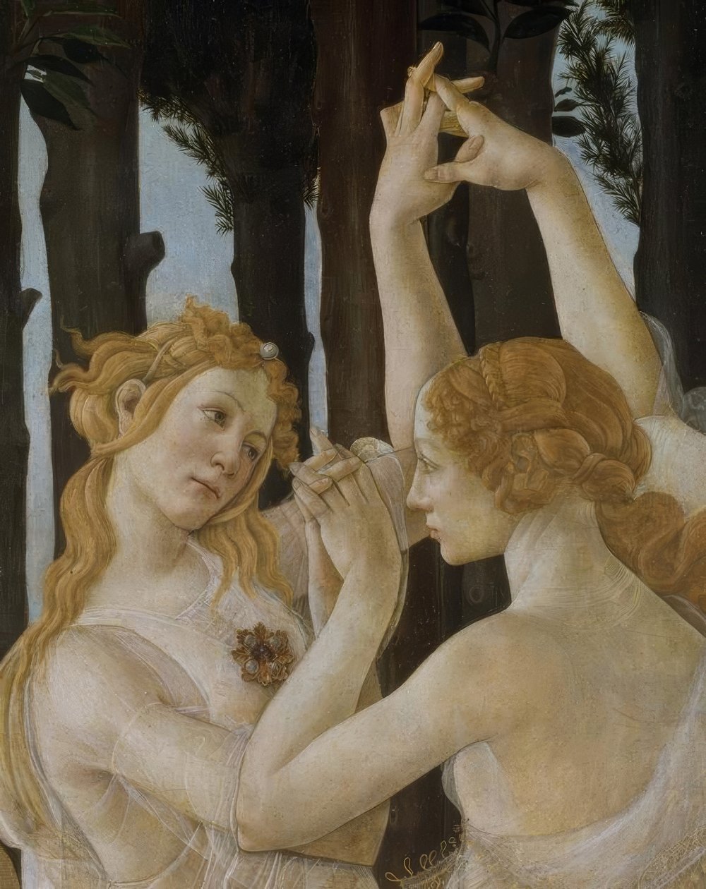 La Primavera tekijältä Sandro Botticelli