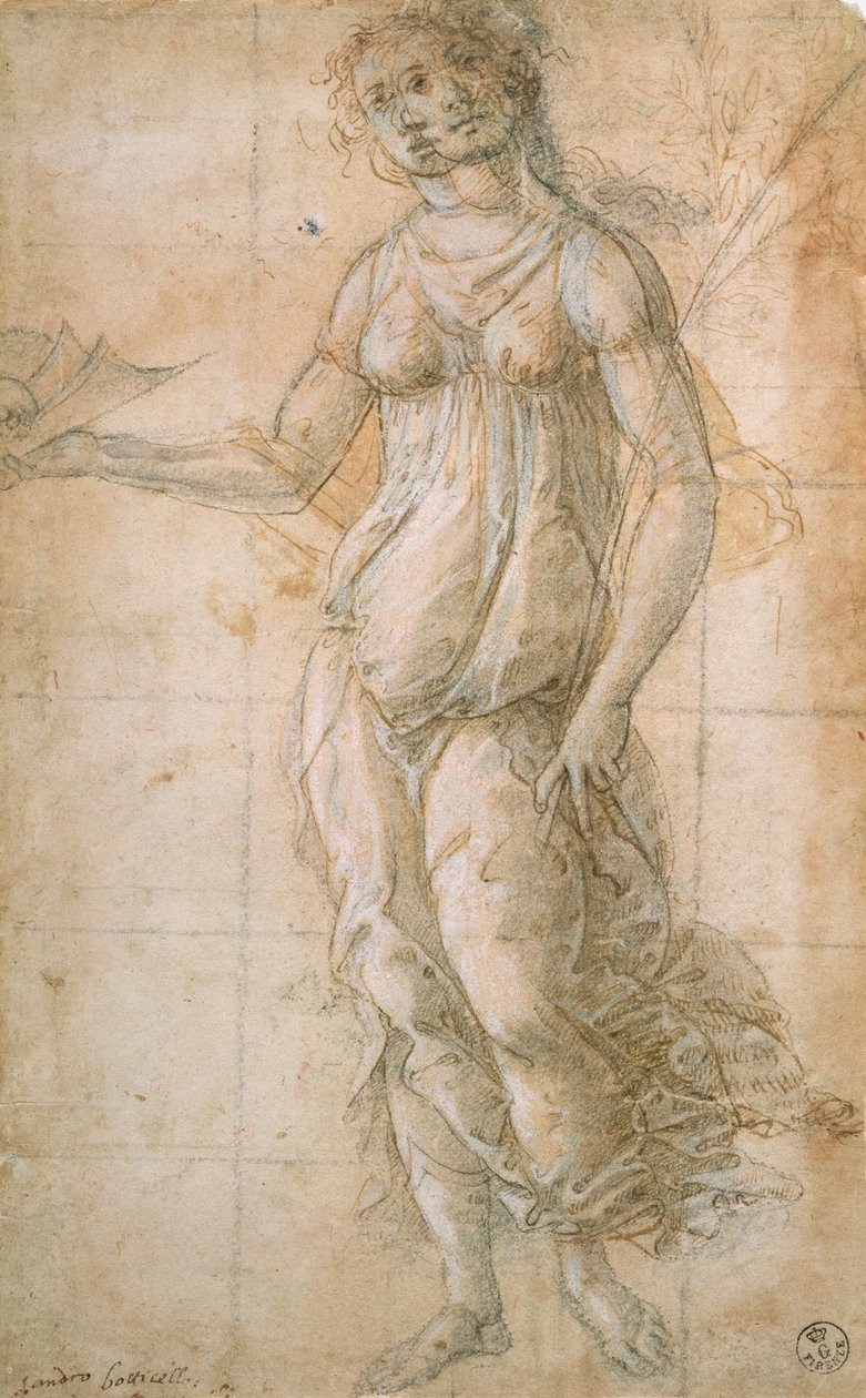 Athenen tutkimus (piirustus) tekijältä Sandro Botticelli