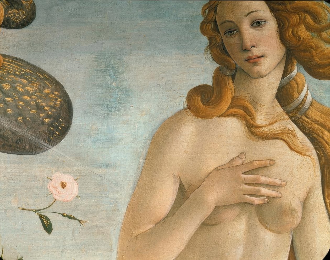Venuksen syntymä (Venus Anadyomene) tekijältä Sandro Botticelli