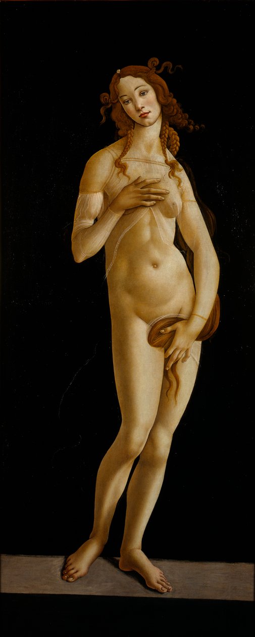 Venus Pudica, noin 1485-1490. tekijältä Sandro Botticelli