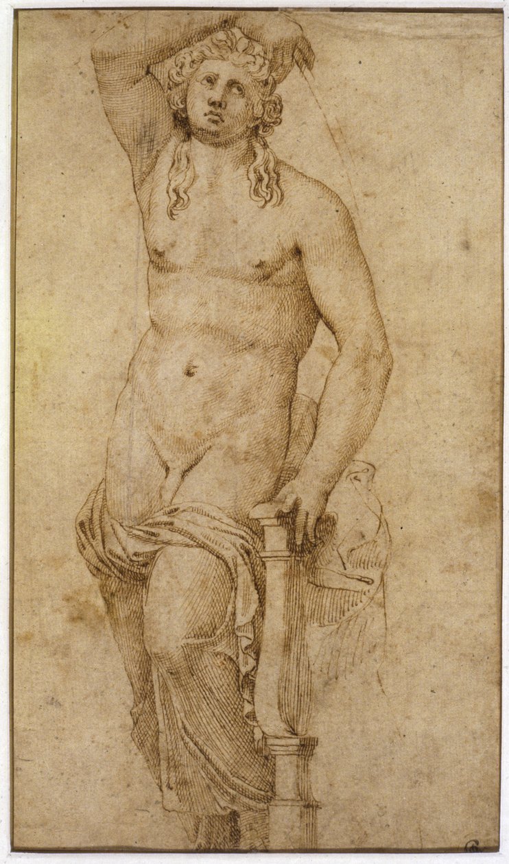 Apollo tekijältä Raffaello Sanzio Raphael