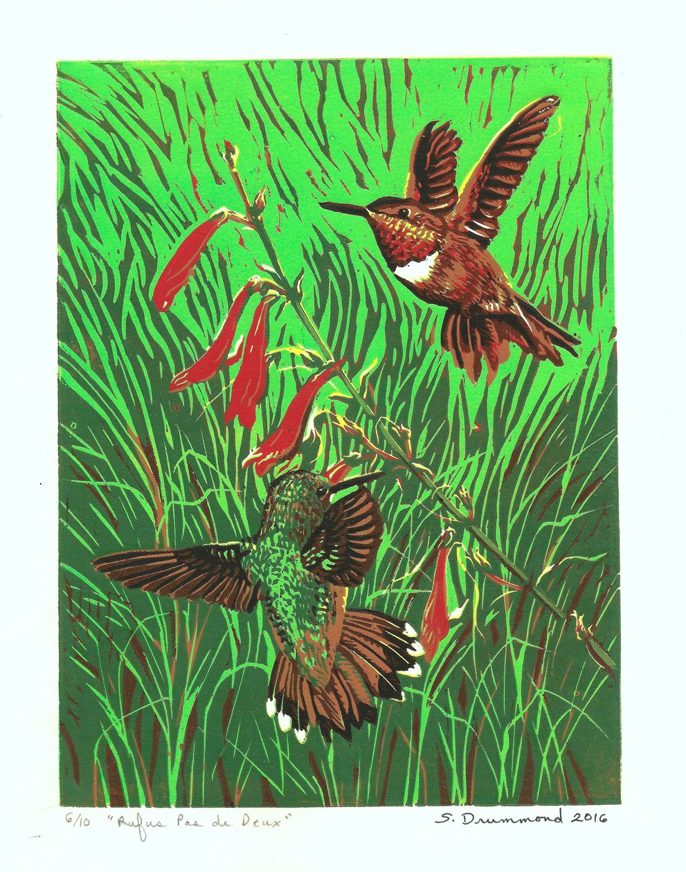 Rufus Pas de Deux, 2016 (Linoleikkaus ) tekijältä Sarah Drummond