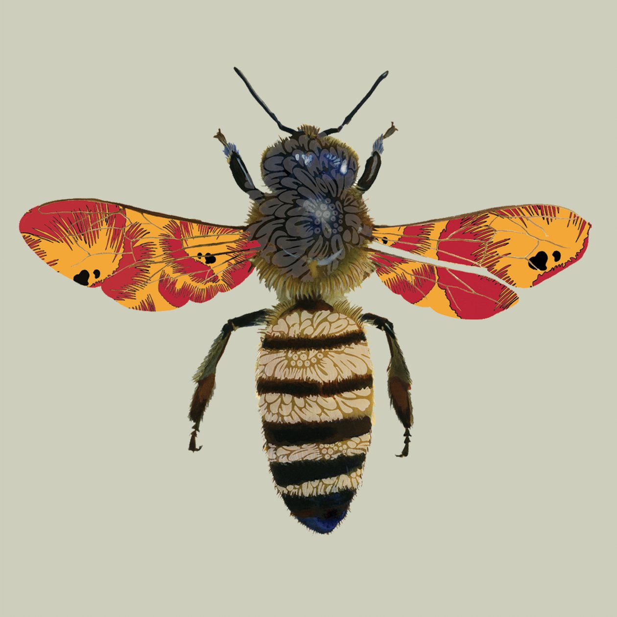 Honey Bee, 2010 (digitaalinen) tekijältä Sarah Hough