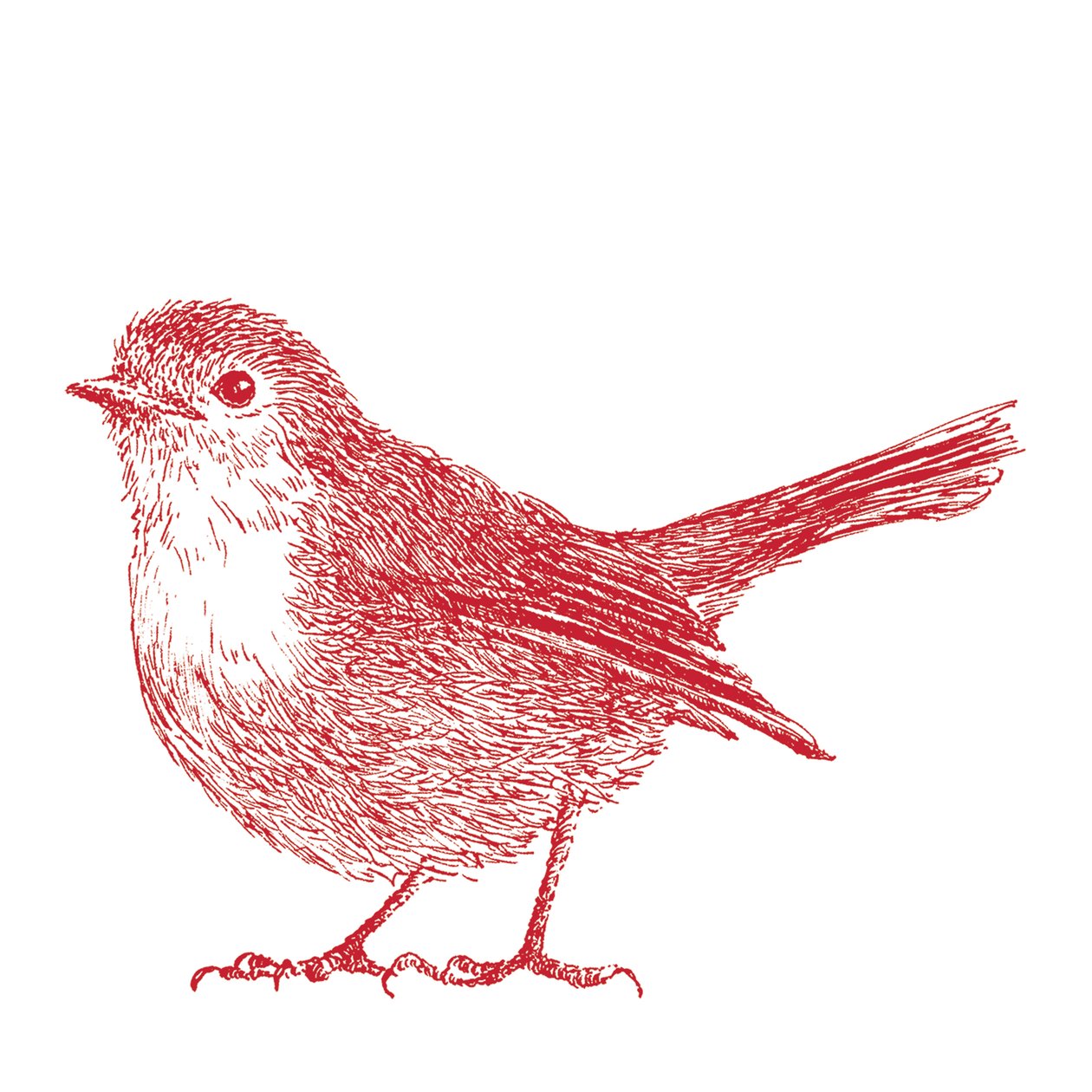 Robin, 2017 tekijältä Sarah Hough