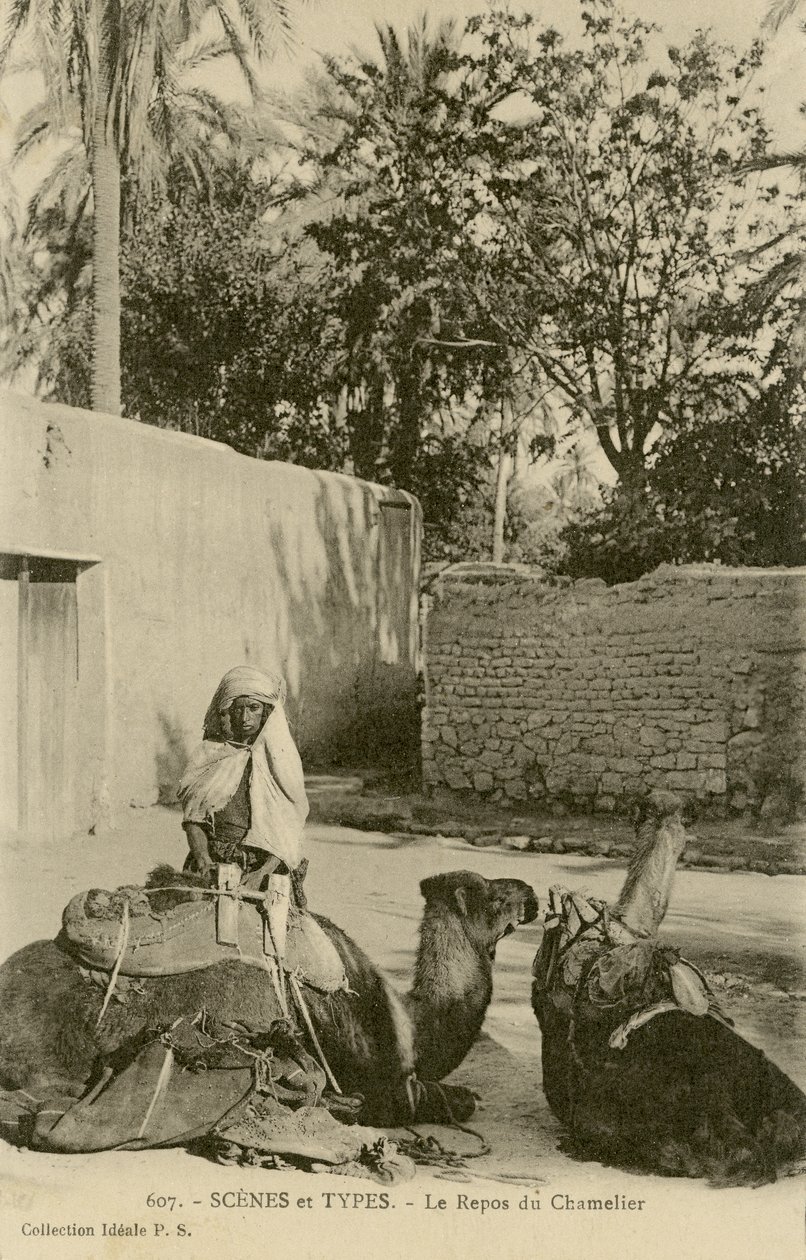 Le Repos du Chamelier, c.1890-1914 (b/w photo) tekijältä School French