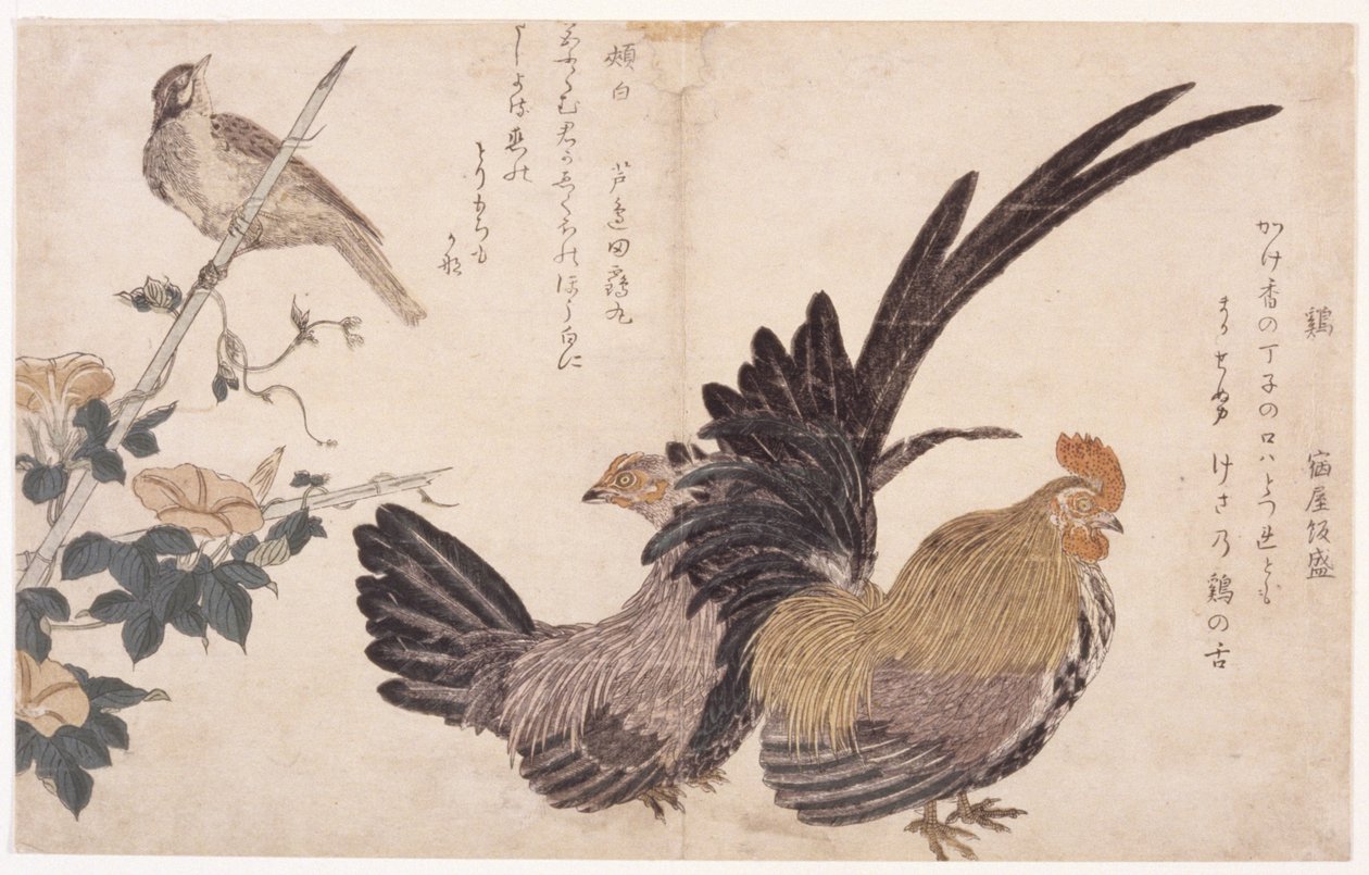Kukko, kana ja lintu tekijältä School Japanese