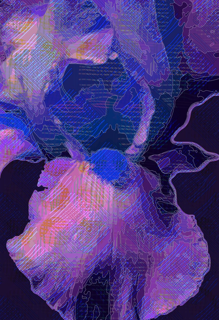Blue Iris (digitaalinen) tekijältä Scott J. Davis