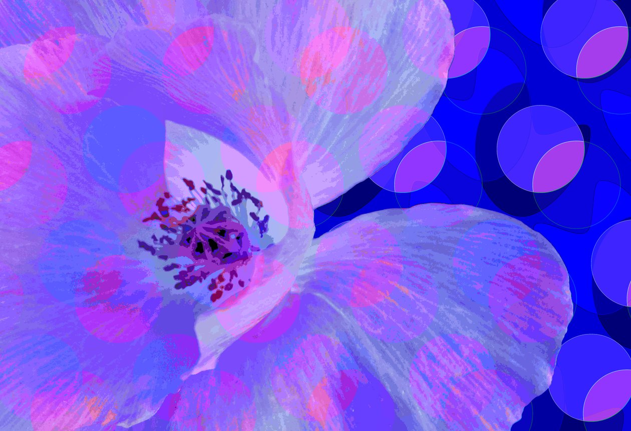 Poppy (digitaalinen) tekijältä Scott J. Davis
