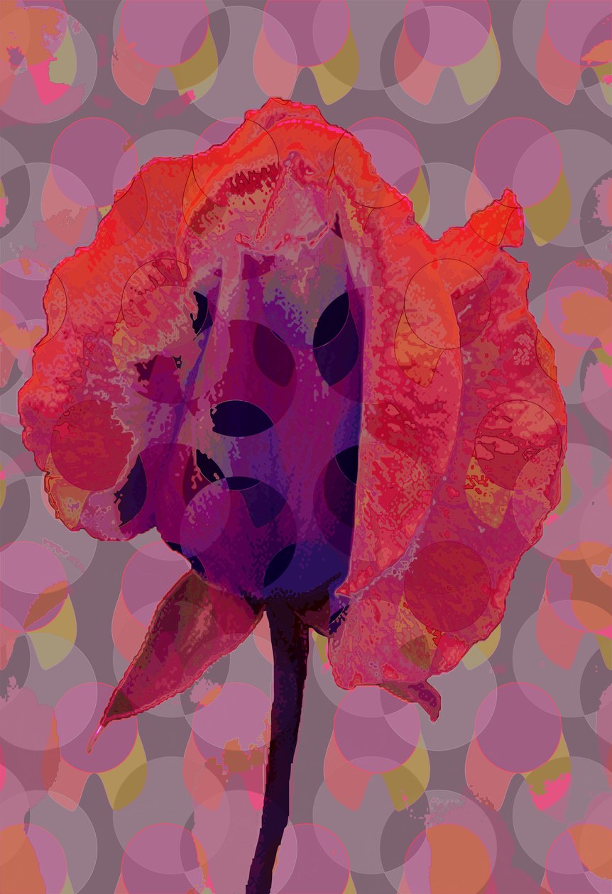 Tea Rose 3 (digitaalinen) tekijältä Scott J. Davis