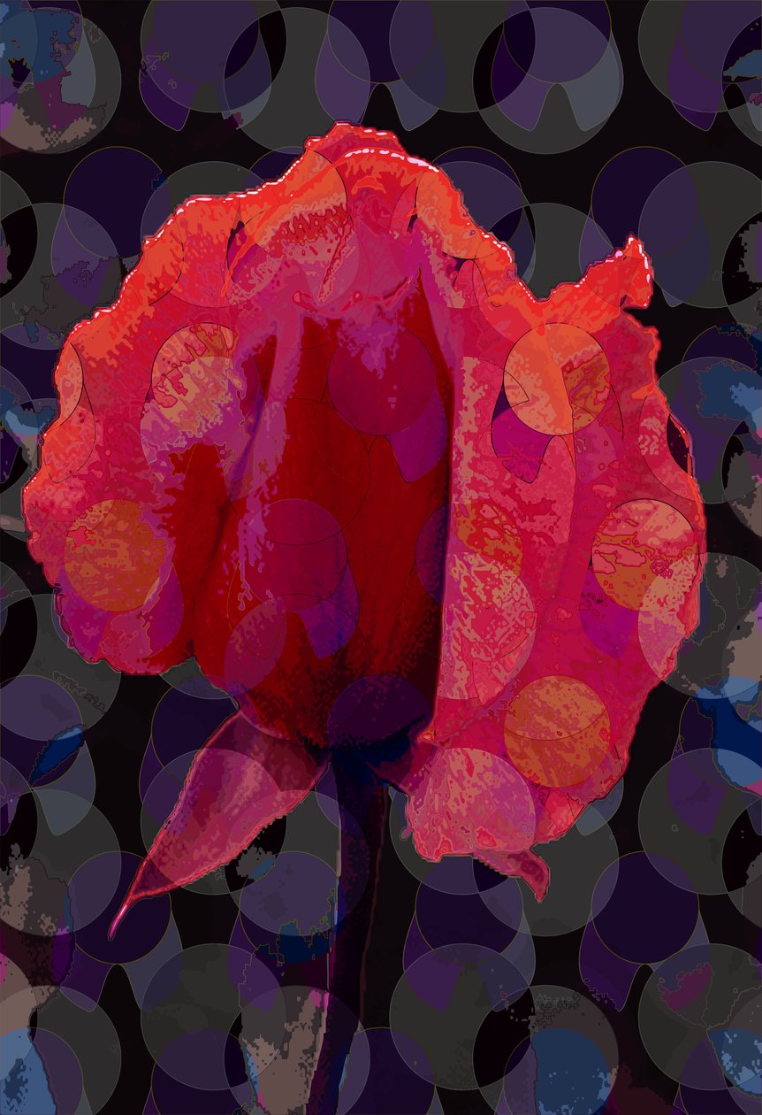 Tea Rose 3b (digitaalinen) tekijältä Scott J. Davis