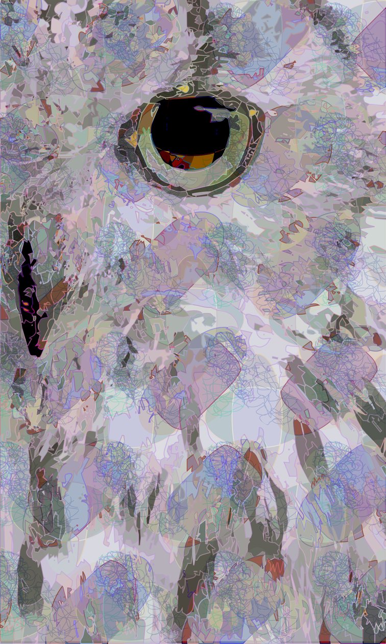 Pöllö3 (digitaalinen) tekijältä Scott J. Davis