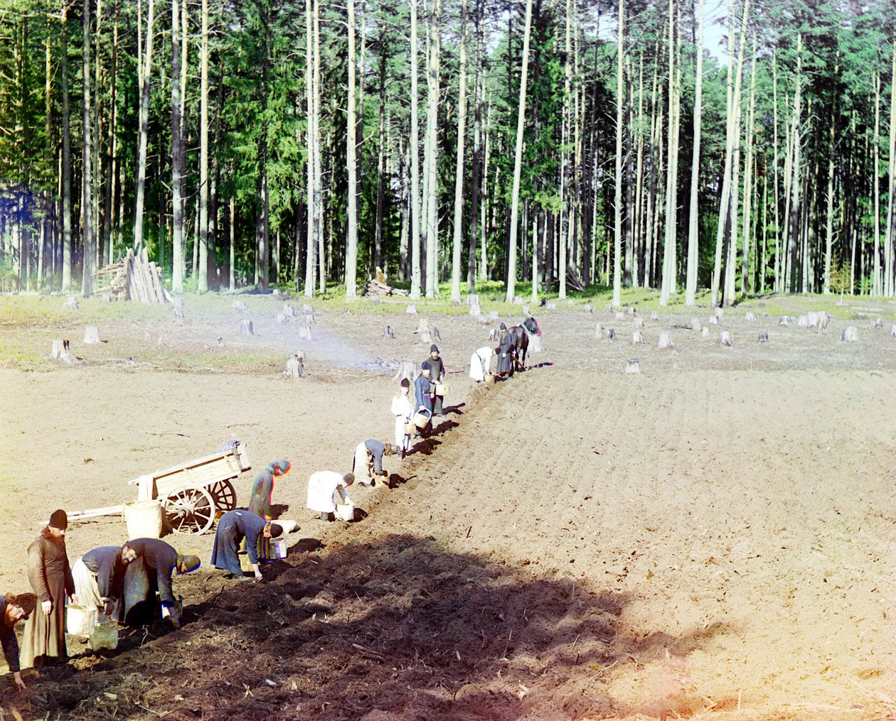 Munkit istuttavat perunoita lähellä Getsemanen luostaria, Volga-joki, Venäjän valtakunta, 1910 tekijältä Sergey Prokudin Gorsky