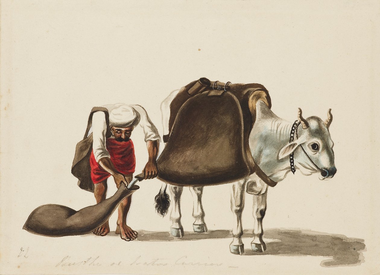 Vesisäiliö, c1810 tekijältä Sewak Ram