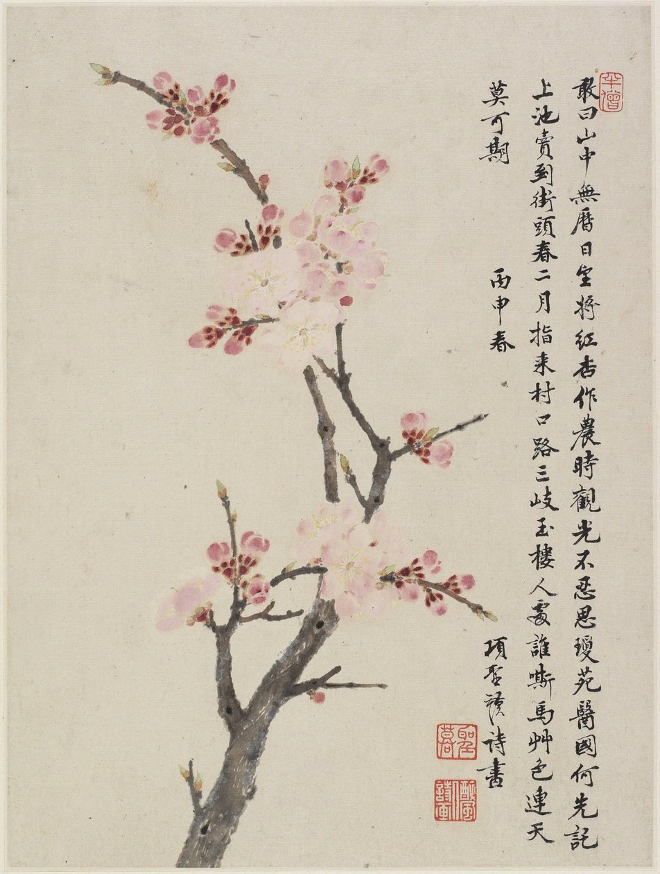 Album of Ten Leaves, 1656 (muste ja väri paperille) tekijältä Shengmo Xiang