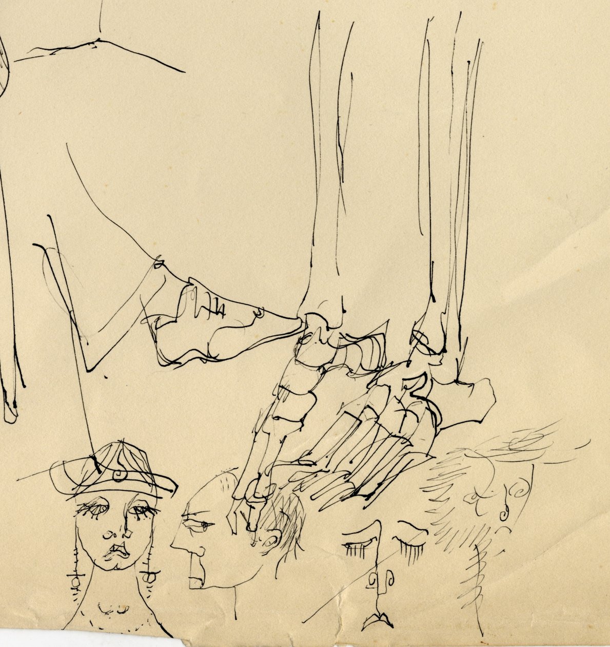 Kasvot ja jalan luut, 1953. tekijältä Shirley Markham