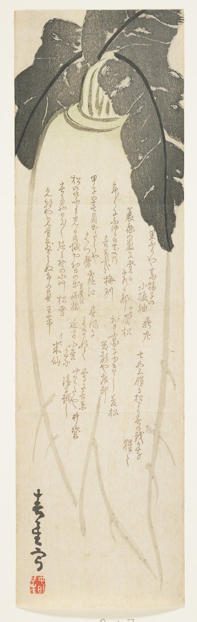 Daikon retiisi, tammikuu 1864 (värillinen puupainatus) tekijältä Shunsei