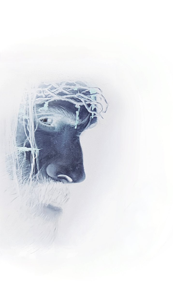 Jeesus orjantappurakruunuineen tekijältä Simone Amon