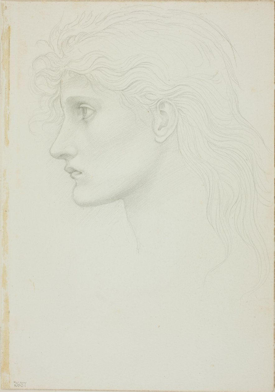 Tytön pää vasen tekijältä Sir Edward Burne Jones