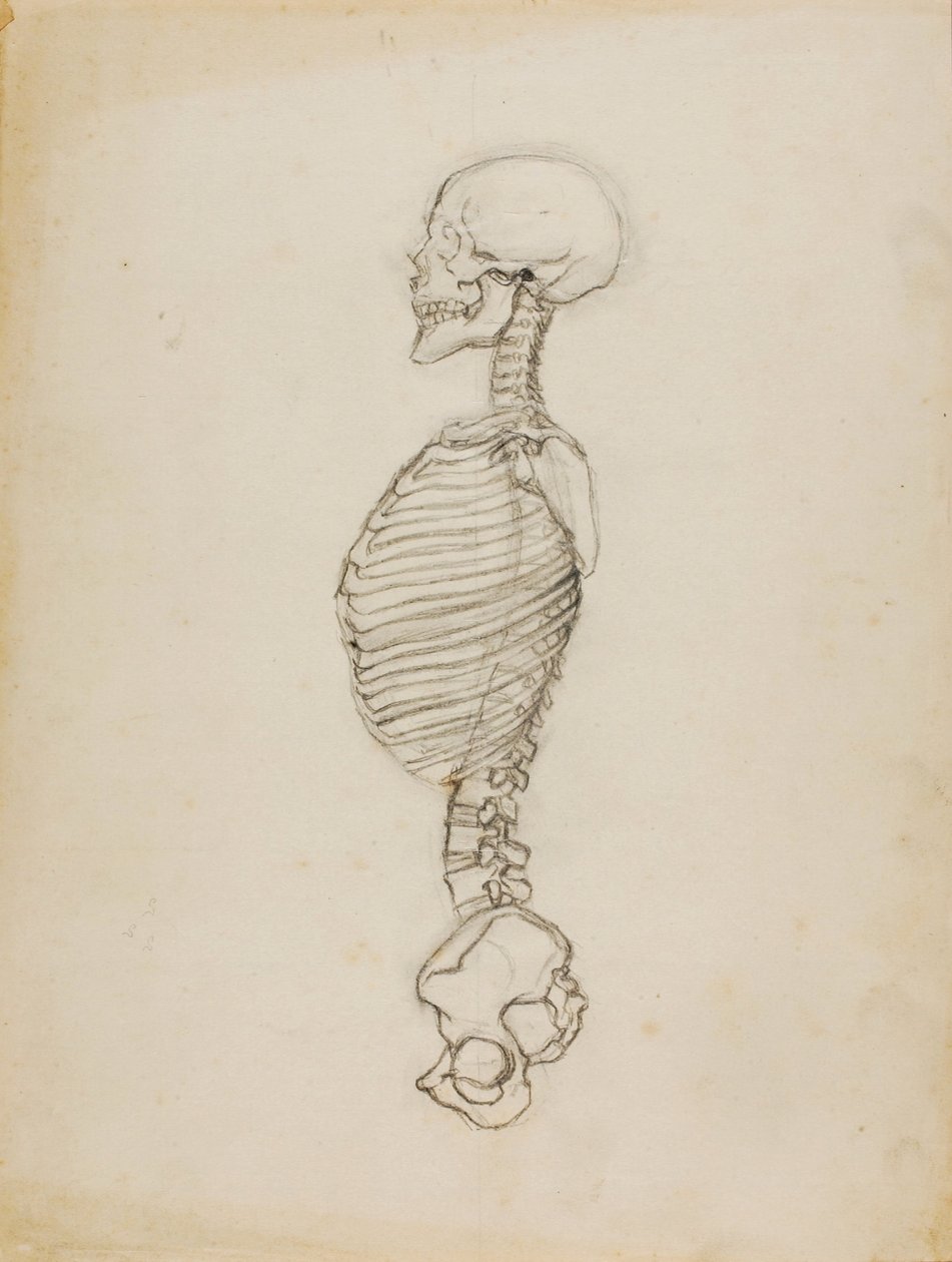 Anatomia tekijältä Solon H. Borglum