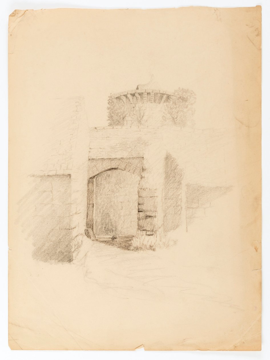 Le Chateau de Chevenevase tekijältä Solon H. Borglum