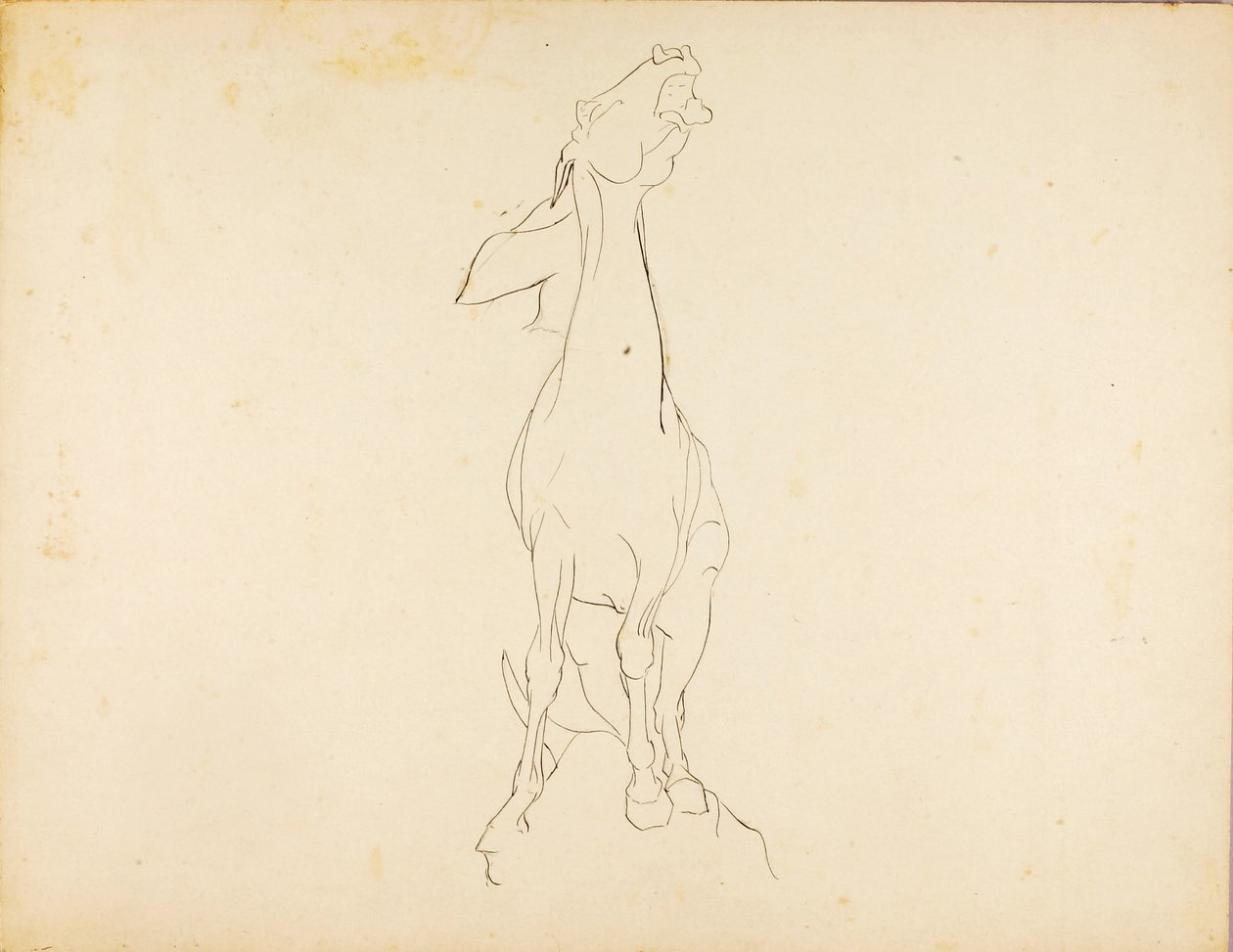 Untitled tekijältä Solon H. Borglum