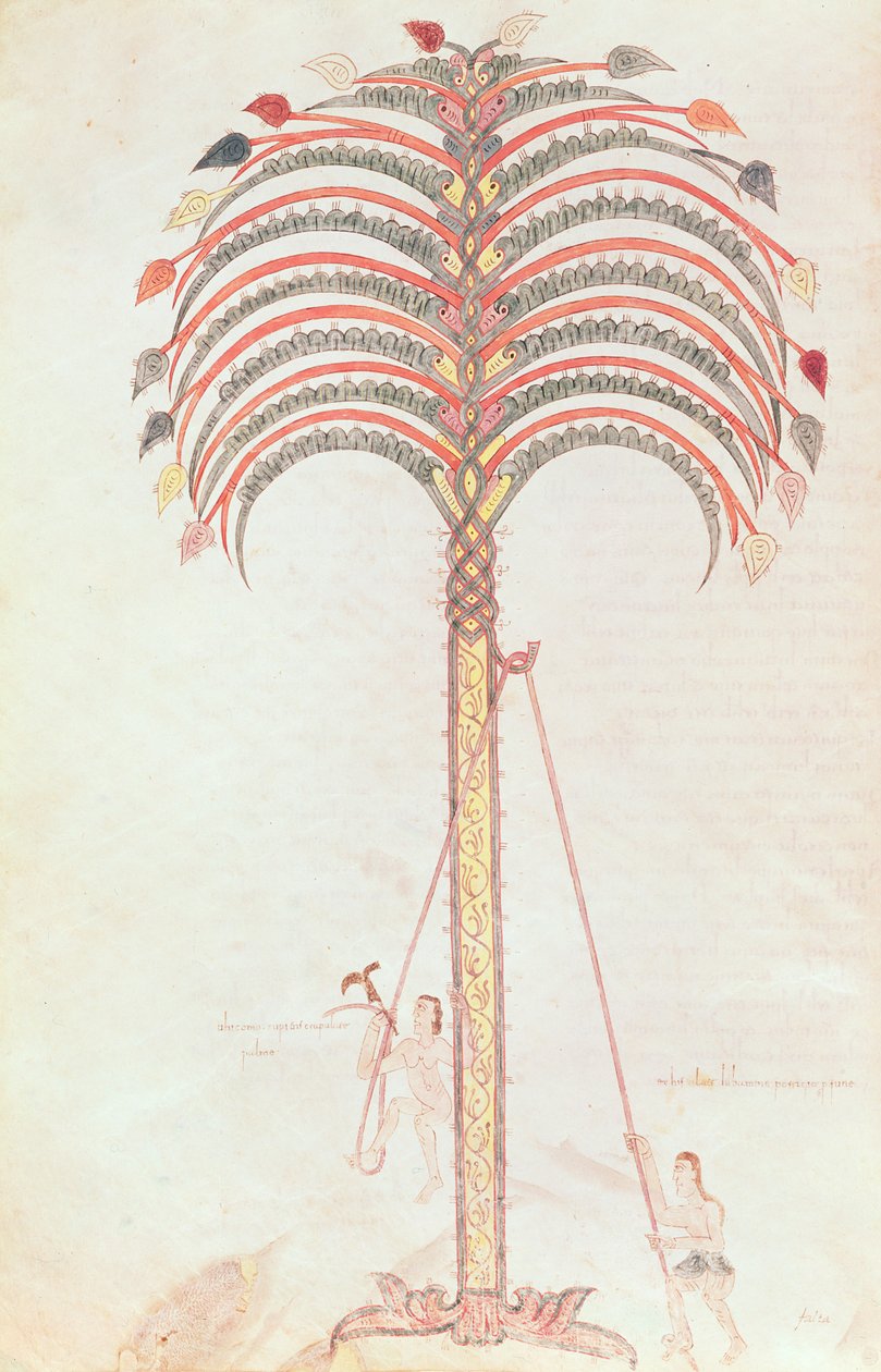 Fol.147v Palmun metafora, Girona Beatusta tekijältä Spanish School
