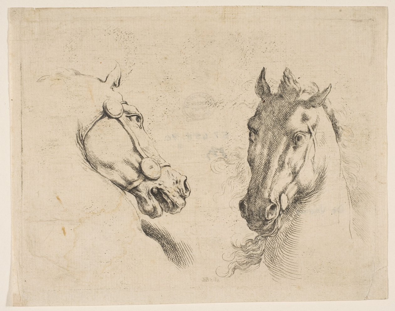 Kaksi hevospäätä, n. 1649. tekijältä Stefano della Bella