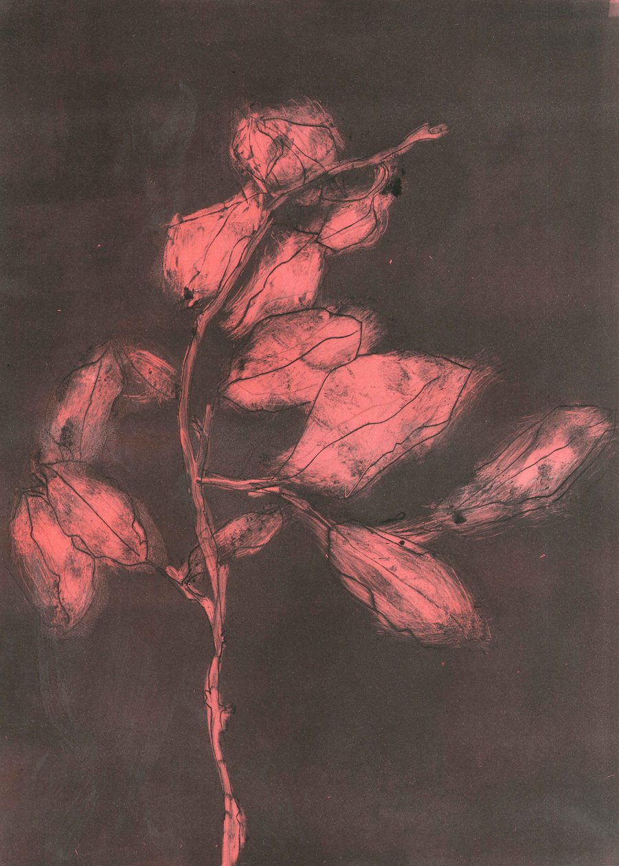 Lehti I, 2015 (monoprintti paperille) tekijältä Stephen Dow